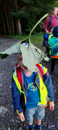 IMG-20240928-WA0082