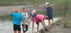 IMG-20250708-WA0046