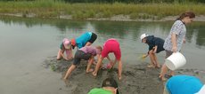 IMG-20250708-WA0037