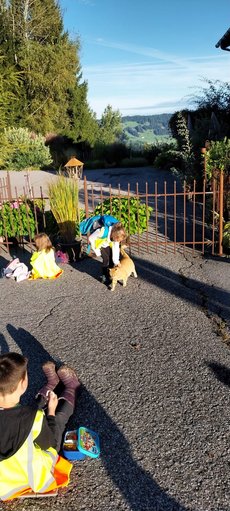 IMG-20240928-WA0081