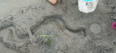IMG-20250708-WA0040